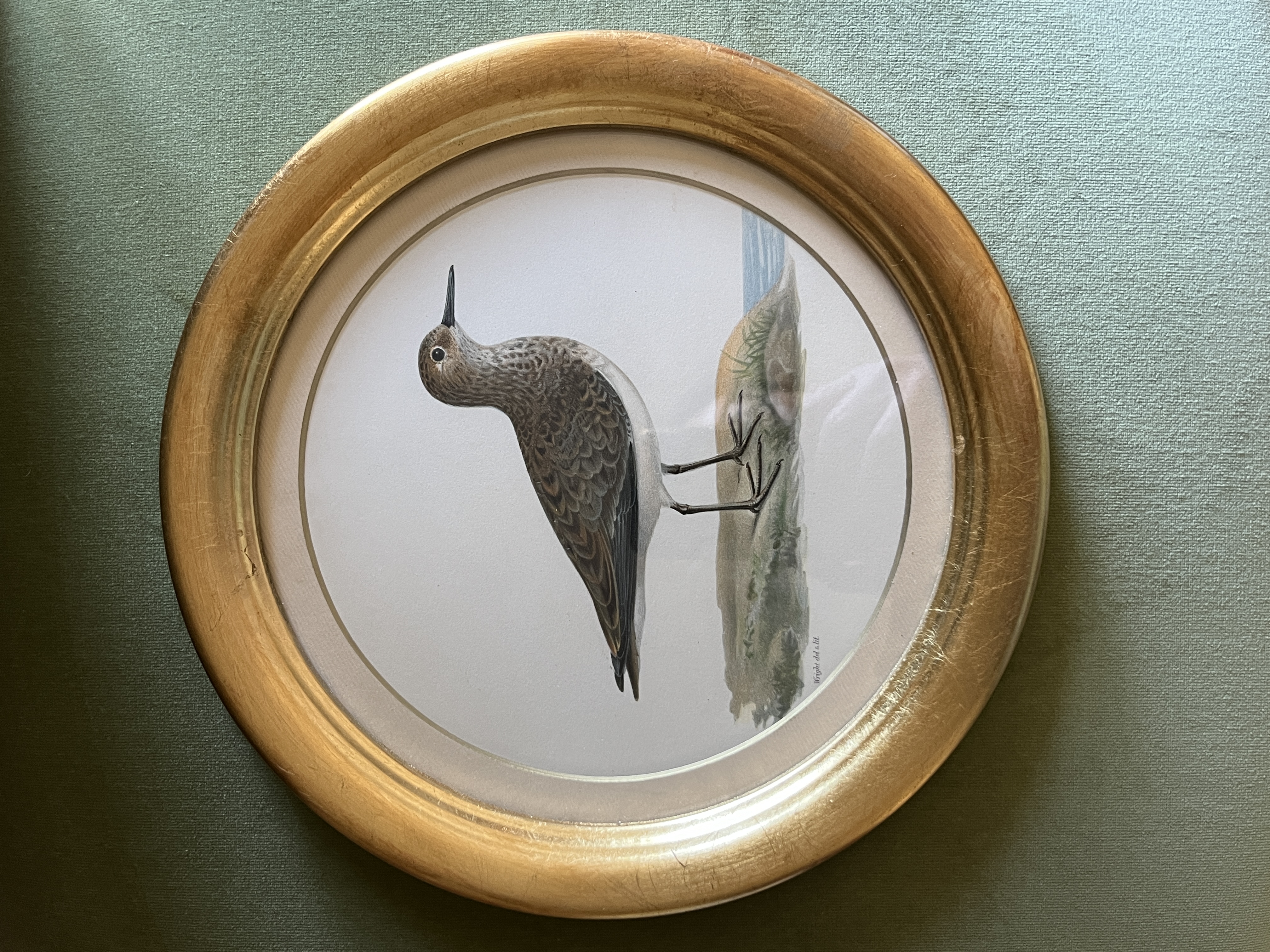 Cromolitografie - 61.24