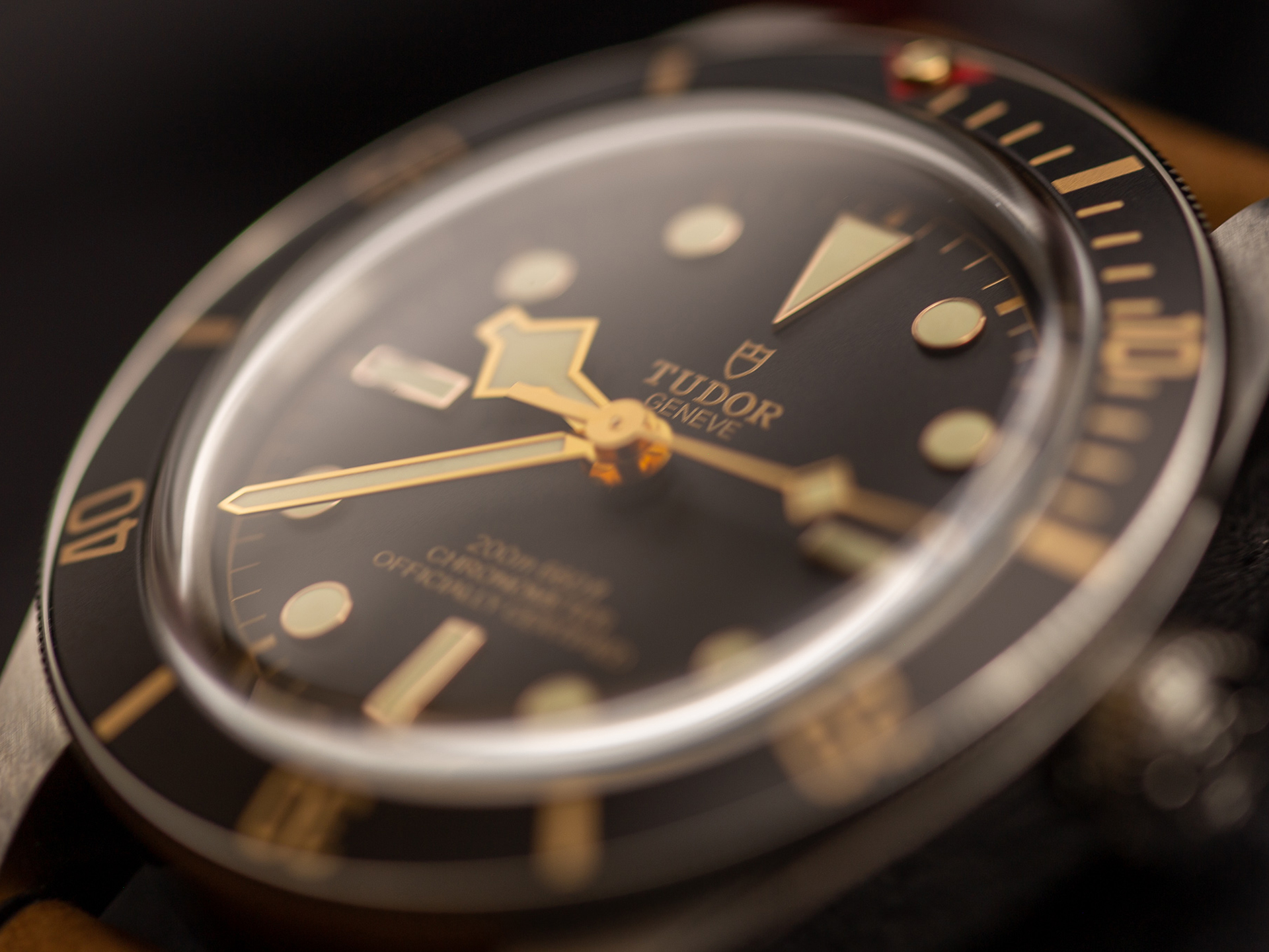 tudor_img_6460.jpg