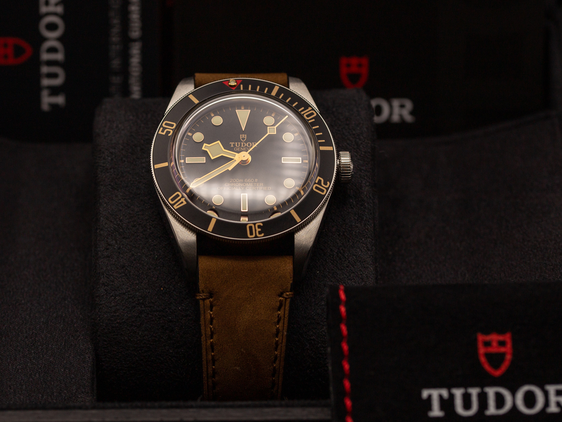 tudor_img_6461.jpg