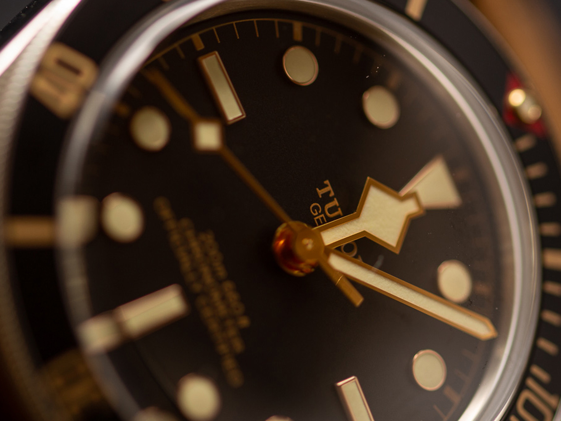 tudor_img_6501.jpg